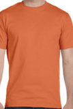 Pumpkin Spice Shirt